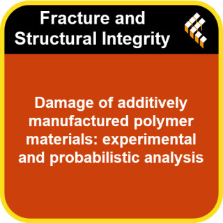 Damage of additively manufactured polymer materials: experimental and probabilistic analysis
