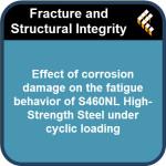 Effect of corrosion damage on the fatigue behavior of S460NL High-Strength Steel under cyclic loading