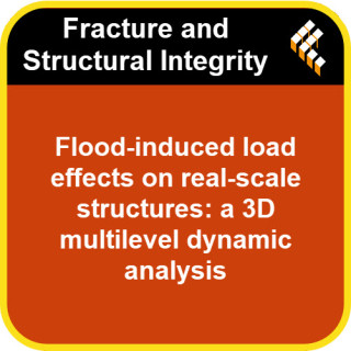 Flood-induced load effects on real-scale structures:  a 3D multilevel dynamic analysis