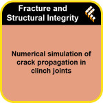 Numerical simulation of crack propagation in clinch joints